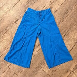 Simply Vera Wang Blue Wide Leg Crop Pants | Size L | Tie Waist
